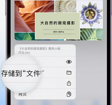 河西区街道apple维修中心分享iPhone文件应用中存储和找到下载文件