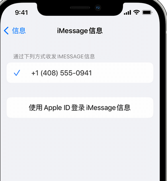 河西区街道apple维修iPhone上无法正常发送iMessage信息 