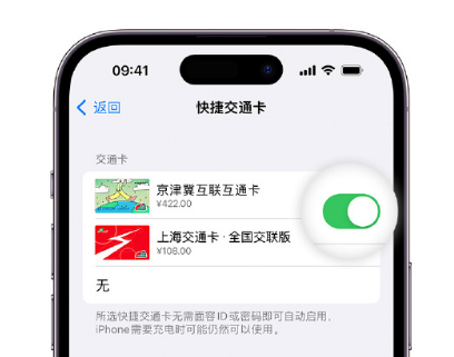 河西区街道apple维修点分享iPhone上更换Apple Pay快捷交通卡手绘卡面 