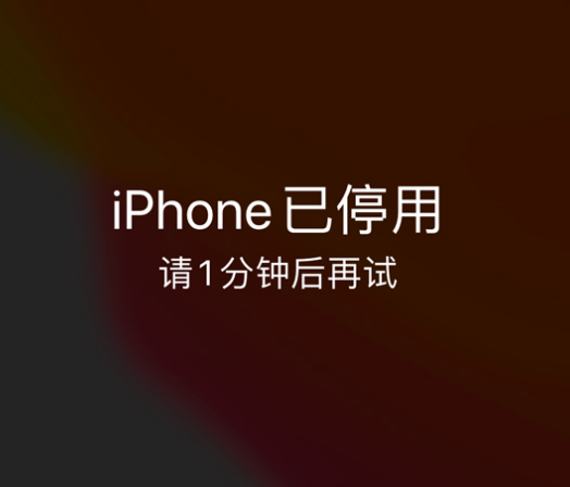 河西区街道苹果手机维修分享:iPhone 显示“不可用”或“已停用”怎么办？还能保留数据吗？ 