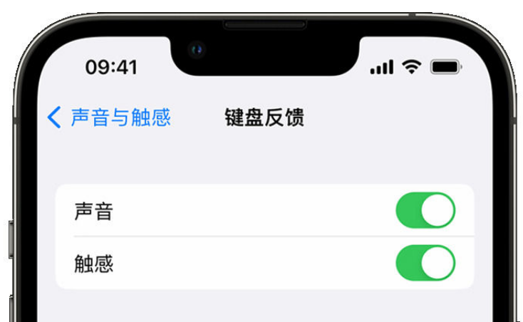 河西区街道苹果手机维修分享iPhone 14触感键盘使用方法 