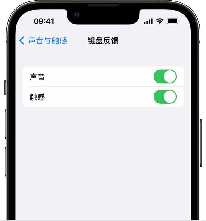 河西区街道苹果14维修店分享如何在 iPhone 14 机型中使用触感键盘 