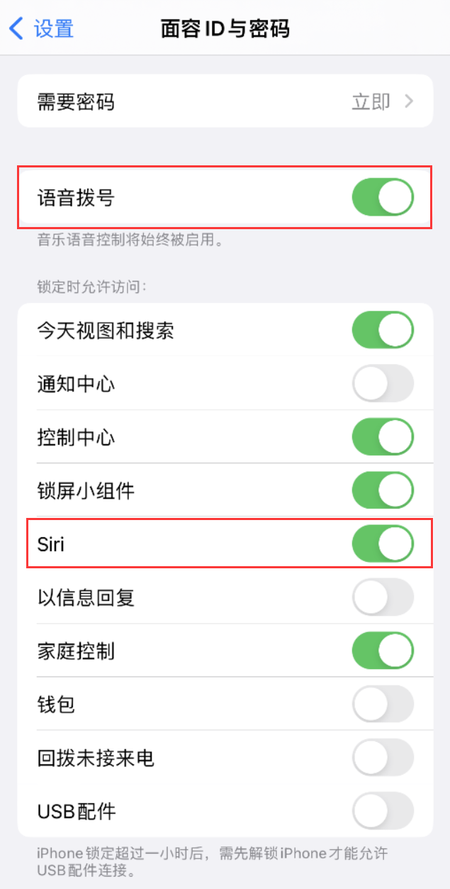 河西区街道苹果维修网点分享不解锁 iPhone 的情况下通过 Siri 拨打电话的方法 