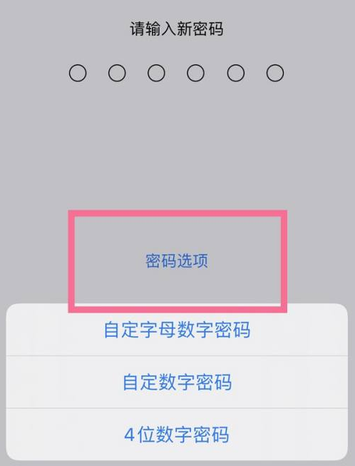 河西区街道苹果14维修分享iPhone 14plus设置密码的方法 