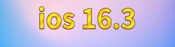 河西区街道苹果服务网点分享苹果iOS16.3升级反馈汇总 