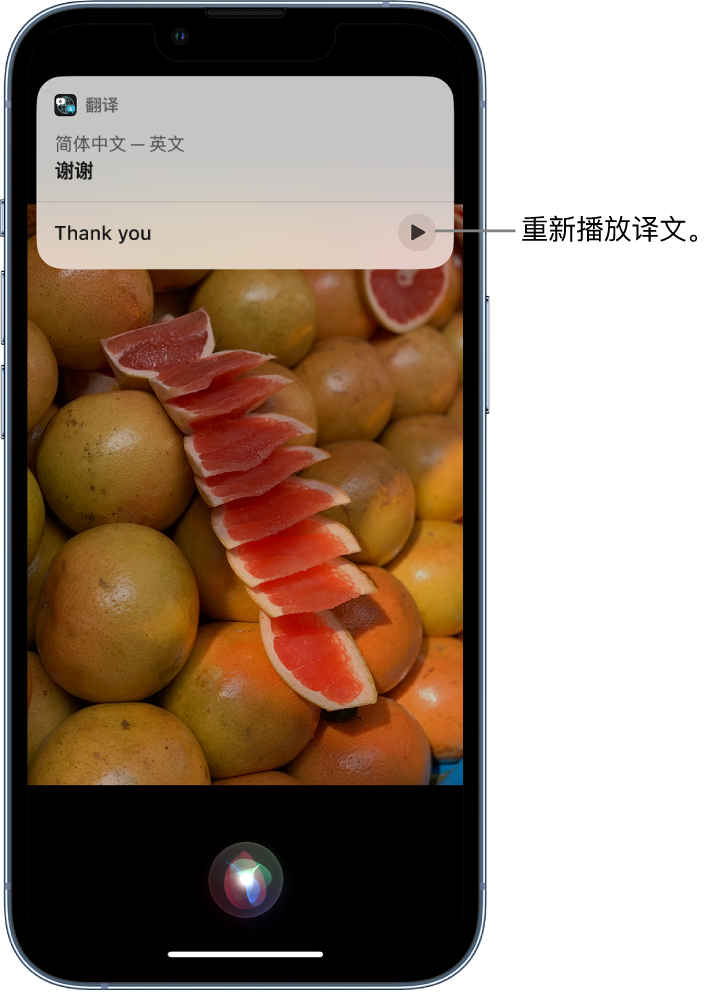 河西区街道苹果14维修分享 iPhone 14 机型中使用 Siri：了解 Siri 能帮你做什么 