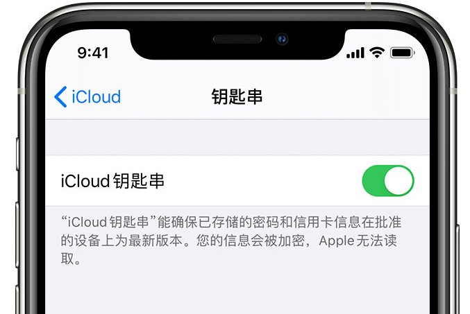 河西区街道苹果手机维修分享在 iPhone 上开启 iCloud 钥匙串之后会储存哪些信息 