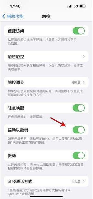 河西区街道苹果手机维修分享iPhone手机如何设置摇一摇删除文字 