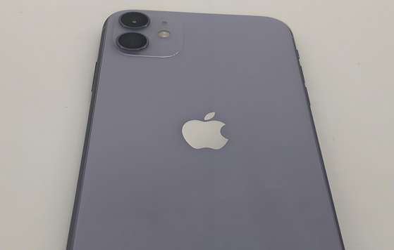 河西区街道苹果11系统维修分享iPhone11手机系统崩溃无法开机如何解决 